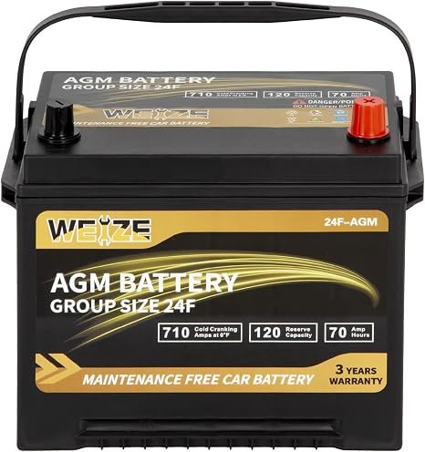 Weize Platinum AGM Group 24F Battery